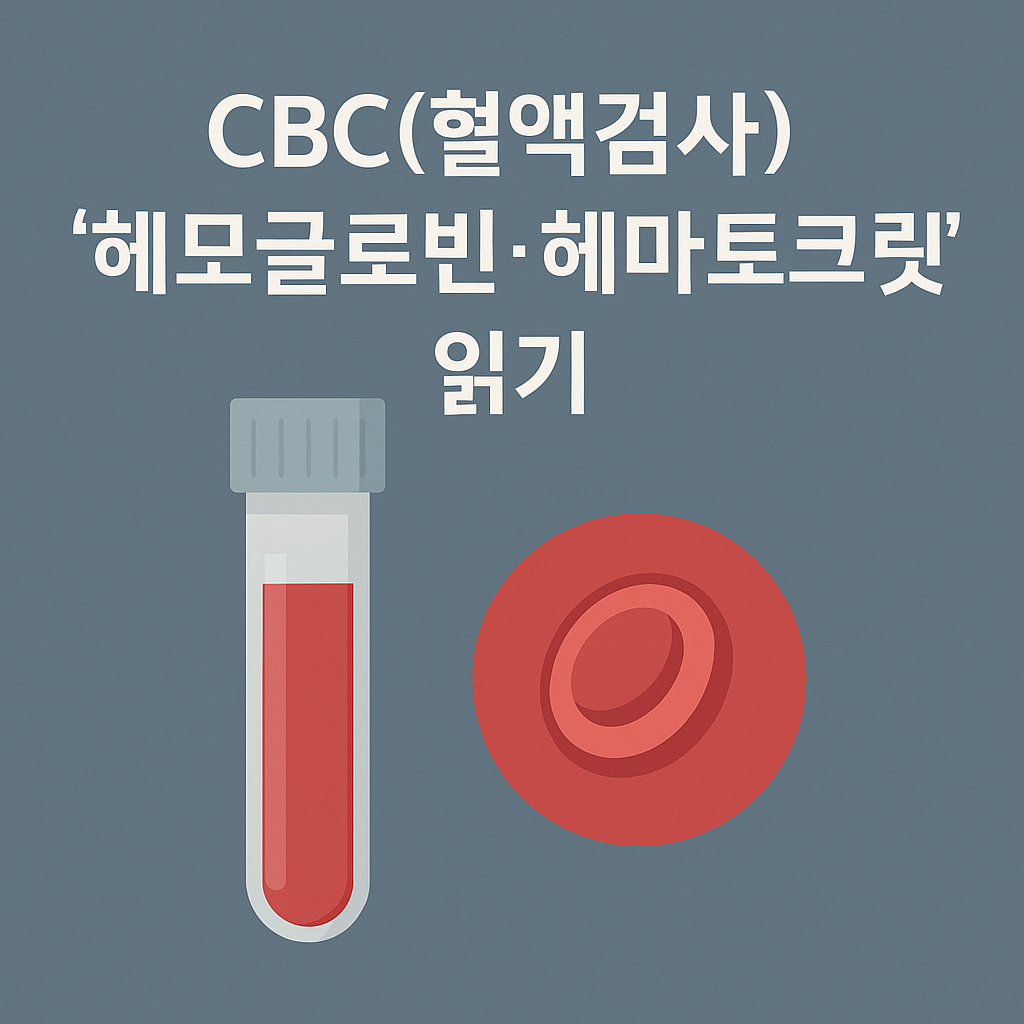 CBC(혈액검사) ‘헤모글로빈·헤마토크릿’ 읽기