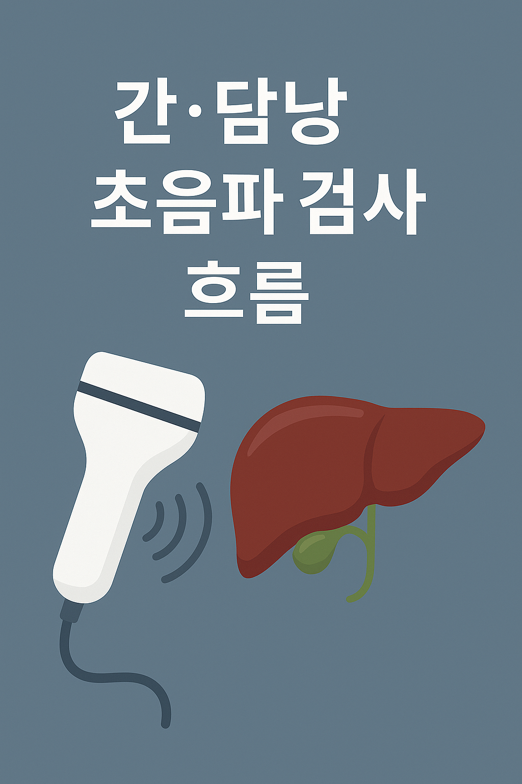 간·담낭 초음파 검사 흐름