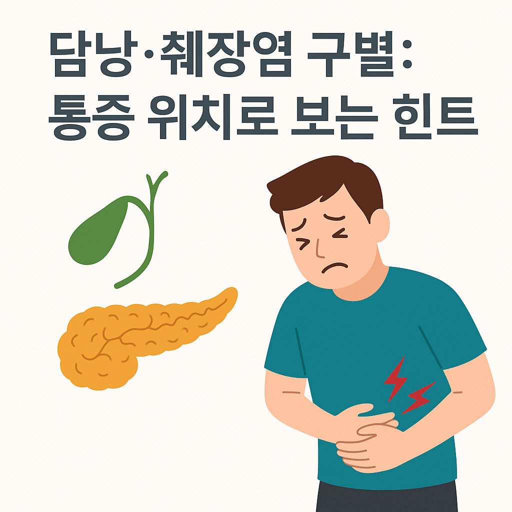 담낭·췌장염 구별 통증 위치로 보는 힌트