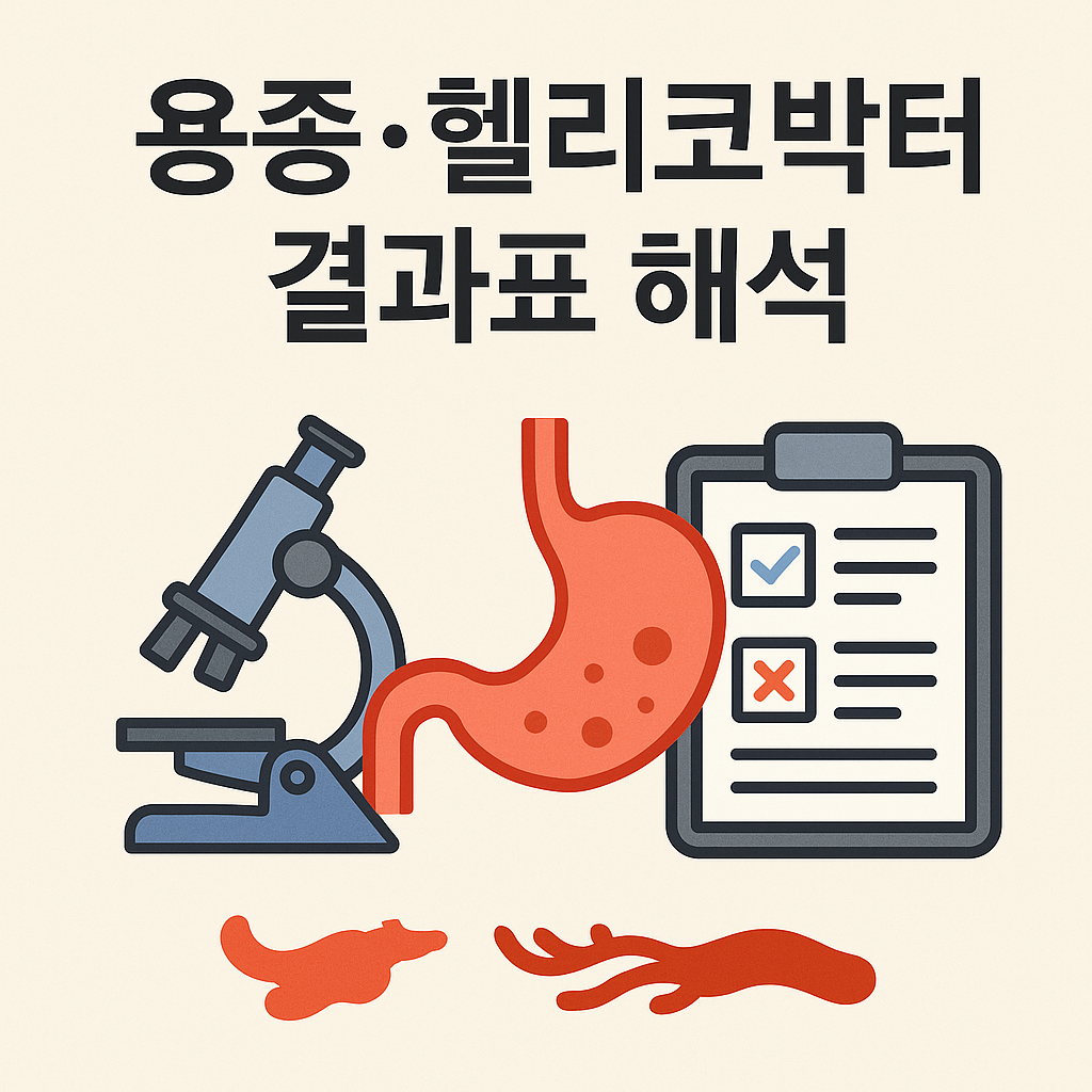 용종·헬리코박터 결과표 해석