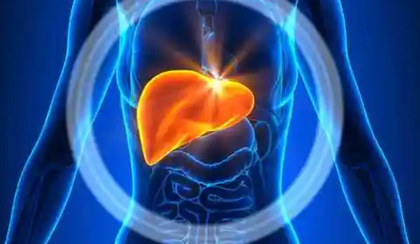 간경변증: 합병증과 관리법